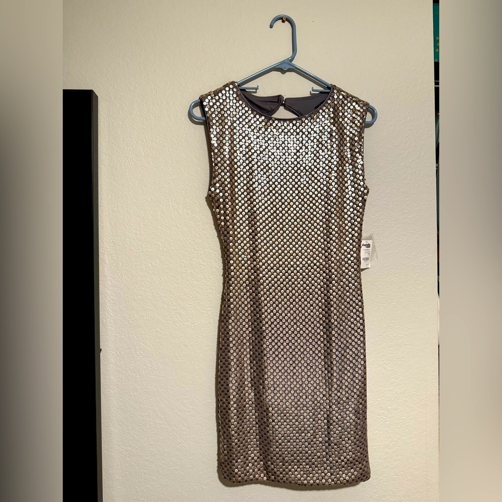Charlotte Russe Shimmering Silver Mini Dress